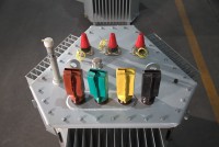 Transformateur de puissance immergé dans l'huile triphasé multi-enroulements Wanbo-94 50/60Hz 630kVA 800kVA 1000kVA 11kV/22kV 400V/230V pour l'alimentation électrique