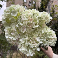 DC093 Nouvelle Arrivée Grande Tête 20cm Hortensia Artificiel en Soie Verte Fleurs Décoratives en Gros pour Mariage et Fête