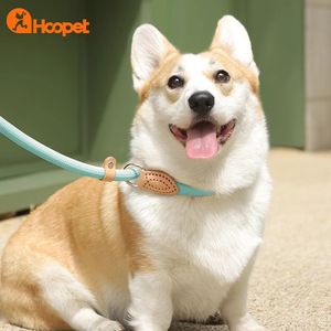 Hoopet <b>Dog</b> <b>Leash</b> P-Chain Integrated Anti Breakage Durable For Medium <b>Dogs</b> Walking Lead - Product Image 1