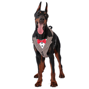 Traje de Moda para Mascotas, Correa para el Pecho, para Perros Grandes, Medianos y Pequeños, Traje para Gatos - Product Image 2