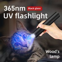 Lampe torche LED rechargeable Superfire S11-H Mini UV 365nm, lampe torche UV 395nm, type de produit : lampes de poche et lampes torche