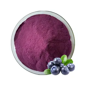 高品质花青素25% 蓝莓提取物用于膳食补充剂