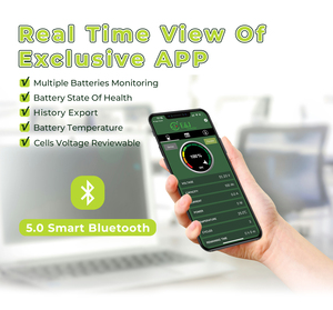 EJ 고전압 96V 50Ah LiFePO4 6000사이클 배터리 2A 액티브 밸런서 CANBUS 스마트 BMS 병렬 연결 가능 8D 사이즈 -20-60C 태양광 - Product Image 4