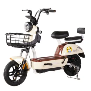 New Fashion Powerful Electric Motorcycle 2 Seat Scooter Electric Bicycle For Wholesalers