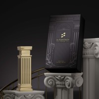 En stock – Parfum de luxe unisexe, marque privée personnalisée, Eau de Parfum en gros, parfum longue durée de Guangzhou au design élégant