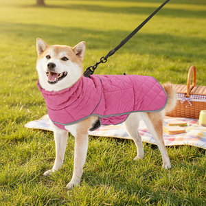 חליפת החלמה לאחר ניתוח לכלבים מבית Petcore IOT, בד נושם וידידותי לסביבה מכותנה/פוליאסטר/ניילון - Product Image 4