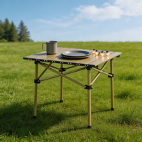 Table de camping pliable multi-tailles avec plateau en acier carbone pour repas et rassemblements en plein air