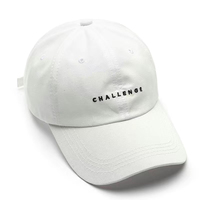 Casquette de baseball unisexe tendance en gros pour couples, style INS, streetwear décontracté, chapeau de soleil pour hommes et femmes, logo personnalisé