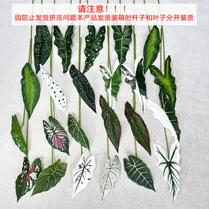 Flores Artificiales Meiyu Craft, Hojas de Taro de 10cm-30cm, Decoración para Bodas, Decoración del Hogar, Accesorios de Vegetación - Product Image 5