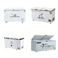 Congélateur coffre horizontal ultra basse température -70°C pour laboratoire, équipement de congélation profonde
