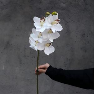 Arreglo Floral de Seda Blanca de Alta Calidad al por Mayor, Flor Artificial de Tallo Único para Decoración de Bodas y Hogar - Product Image 5