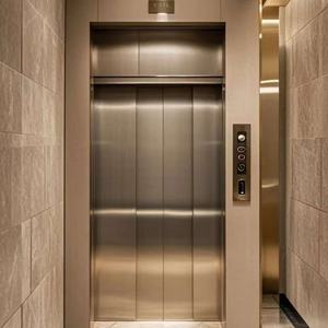 Miroir gravé pour ascenseur de passagers à commande AC, idéal pour centres commerciaux, bureaux, maisons, villas, hôtels - Prix compétitif pour ascenseurs et monte-escaliers - Product Image 3