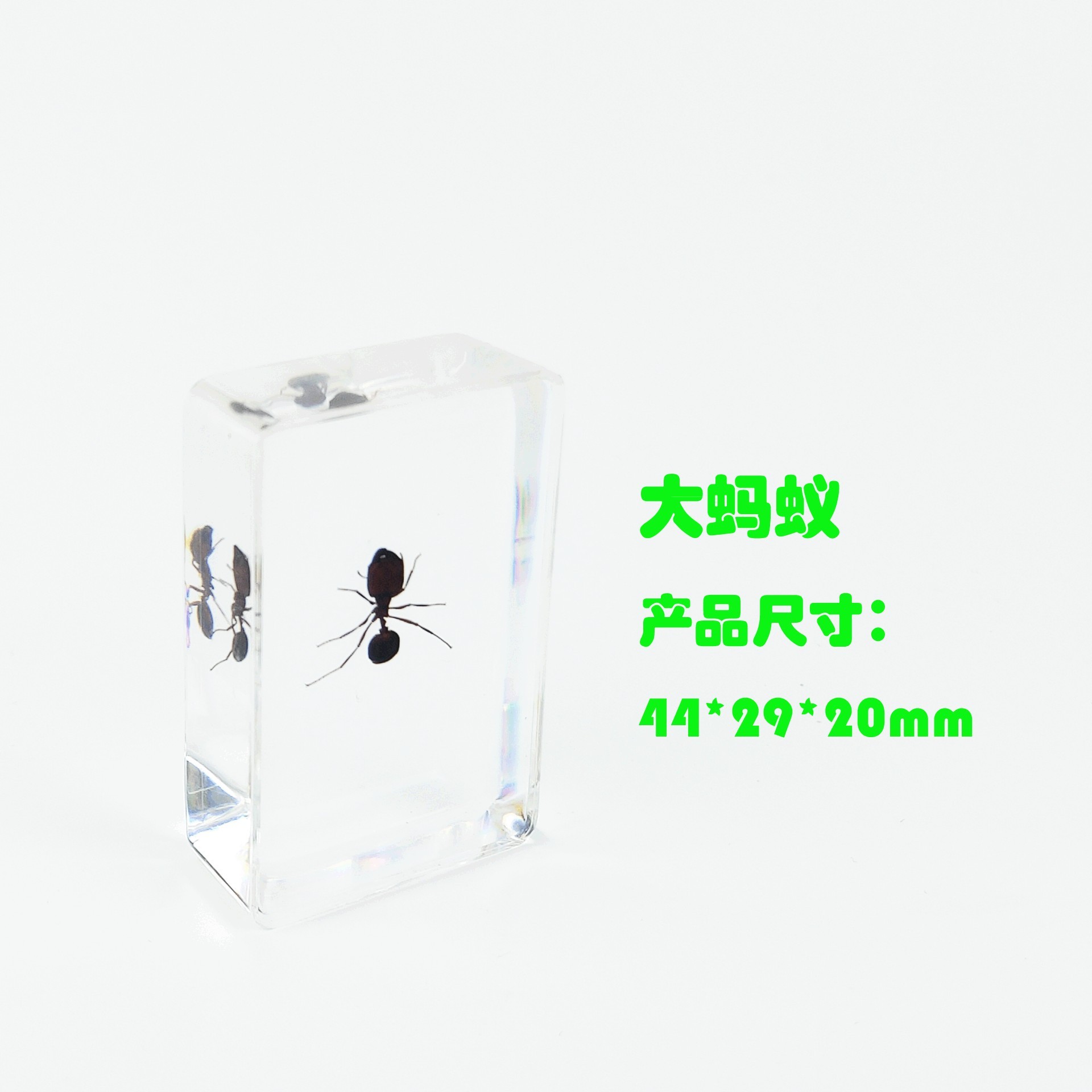 Sp black ant-442916mm