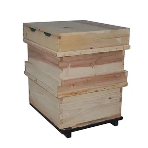 Caja de colmena a granel al por mayor, colmena de abeja a precio de fábrica, kit de colmena de proveedor Henan