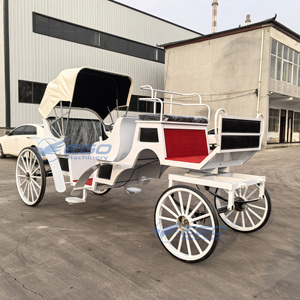 Carrozas Europeas Turísticas con Caballos, Transporte Especial para Visitas Turísticas - Product Image 2