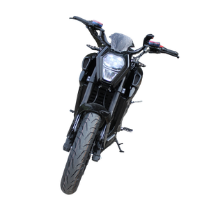 Divertidor para el Público 	 Torque Máximo de 60NM 	 Servicio de Mensajería 	 Motocicleta chopper 	 Muestras de equitación - Product Image 3