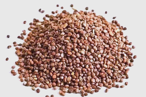 Produit à base de plantes chinoises de haute qualité Ting <span class=keywords><strong>Li</strong></span> Zi : Herbes qui purifient les poumons, soulagent l'asthme, éliminent l'eau et réduisent les gonflements - Product Image 3