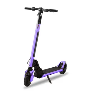 Dropshipping Electric Scooter With Sidecar Electric Drift Scooters 350W/500W 2 Wheel Scooters Electric Has Seat Europe