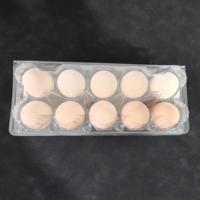 Plateau à œufs en plastique PET écologique et durable à 10 alvéoles, carton d'emballage transparent jetable pour œufs, promotion en gros pour les fermes avicoles