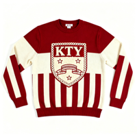 Pull exclusif sur mesure pour fraternité grecque, broderie, fil respirant à âme en filé, coupe oversize, pour club de fraternité