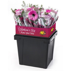 Chất Lượng Cao Procona Hoa Xô Hot Bán Hoa Gói <span class=keywords><strong>Container</strong></span> Phổ Biến Hoa Hiển Thị <span class=keywords><strong>Container</strong></span> - Product Image 4