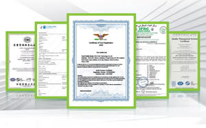 Ekstrak <span class=keywords><strong>Standardized</strong></span> standar untuk campuran Nutraceutical - Product Image 4