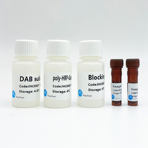 <span class=keywords><strong>Kit</strong></span> de dosage de la capacité antioxydante totale FineTest, méthode FRAP - Product Image 2