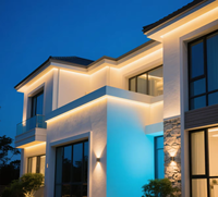 Contrôle PWM de la luminosité, 24V, IP68, lumière ambiante, pliage supérieur, gradation vers le chaud, Ra95, néon LED en silicone, étanche, façade, plafond intérieur