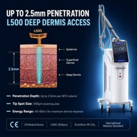 JONTELASER L600 Laser Fractionnel CO2 10600nm Stationnaire pour Resserrement Vaginal, Élimination des Vergetures, Blanchiment et Rajeunissement de la Peau Haute Performance