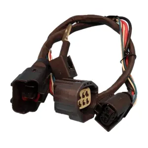 Kualitas Tinggi Auto Wire Harness untuk Mesin Mobil Modifikasi