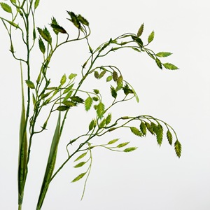 <span class=keywords><strong>Feuille</strong></span> <span class=keywords><strong>de</strong></span> plante <span class=keywords><strong>artificielle</strong></span> en plastique, herbe <span class=keywords><strong>de</strong></span> la <span class=keywords><strong>pampa</strong></span> à 2 branches, petite taille, origine Chine, vente en gros, décoration intérieure, design pour Thanksgiving et mariage - Product Image 3