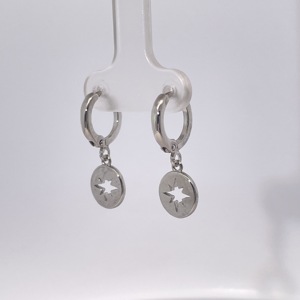 Pendientes de Aro con Forma de Moneda de Estrella del Norte, Estilo Clásico y Sencillo de Tianyu Gems, en Latón Chapado en Oro - Product Image 4