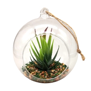 Mini piante <span class=keywords><strong>succulente</strong></span> artificiali popolari all'ingrosso <span class=keywords><strong>In</strong></span> <span class=keywords><strong>vaso</strong></span> di vetro appeso trasparente per la decorazione domestica - Product Image 4
