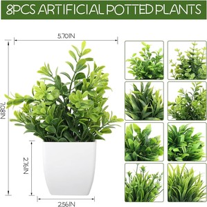Hojas de Helecho Artificiales de Plástico de 13 cm, Tacto Natural, Ecológicas, Decoración de Interiores para Escritorio/Mesa, Regalo para el Hogar - Product Image 4