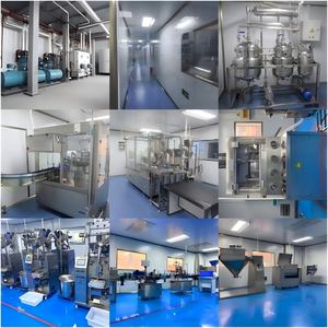 פרמיה פרמיה טבעית סוכריות עלה תמצית ברזל ויטמינים <span class=keywords><strong>b</strong></span> תוספי צמחים תוסף אנרגיה מגבר תמיכה חיסונית העור - Product Image 5