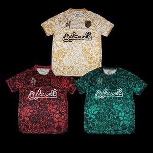 Dropshipping Maglia da Calcio Algeria Africa 25-26, Versione Thailandese, Nuova Stagione Retro Senegal Home Marocco Mali, Taglie S-4XL - Product Image 2