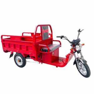 Triciclo de Carga, Triciclo Eléctrico de Alta Eficiencia, Nuevo Triciclo Eléctrico al por Mayor, Motocicleta Triciclo Eléctrica de 850W-1000w, Triciclo de 3 Ruedas - Product Image 5
