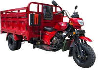 Tricycle à moteur à essence 200cc, tricycle de transport lourd, tricycle à double roues arrière, tricycle motorisé