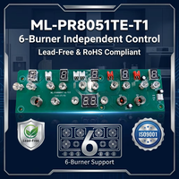 Placa de Control Inteligente para Cocina Eléctrica de Cerámica de 6 Zonas Tailian ML-PR8051TE-T1, PCBA Personalizada para Estufa Radiante, Certificación RoHS ISO9001
