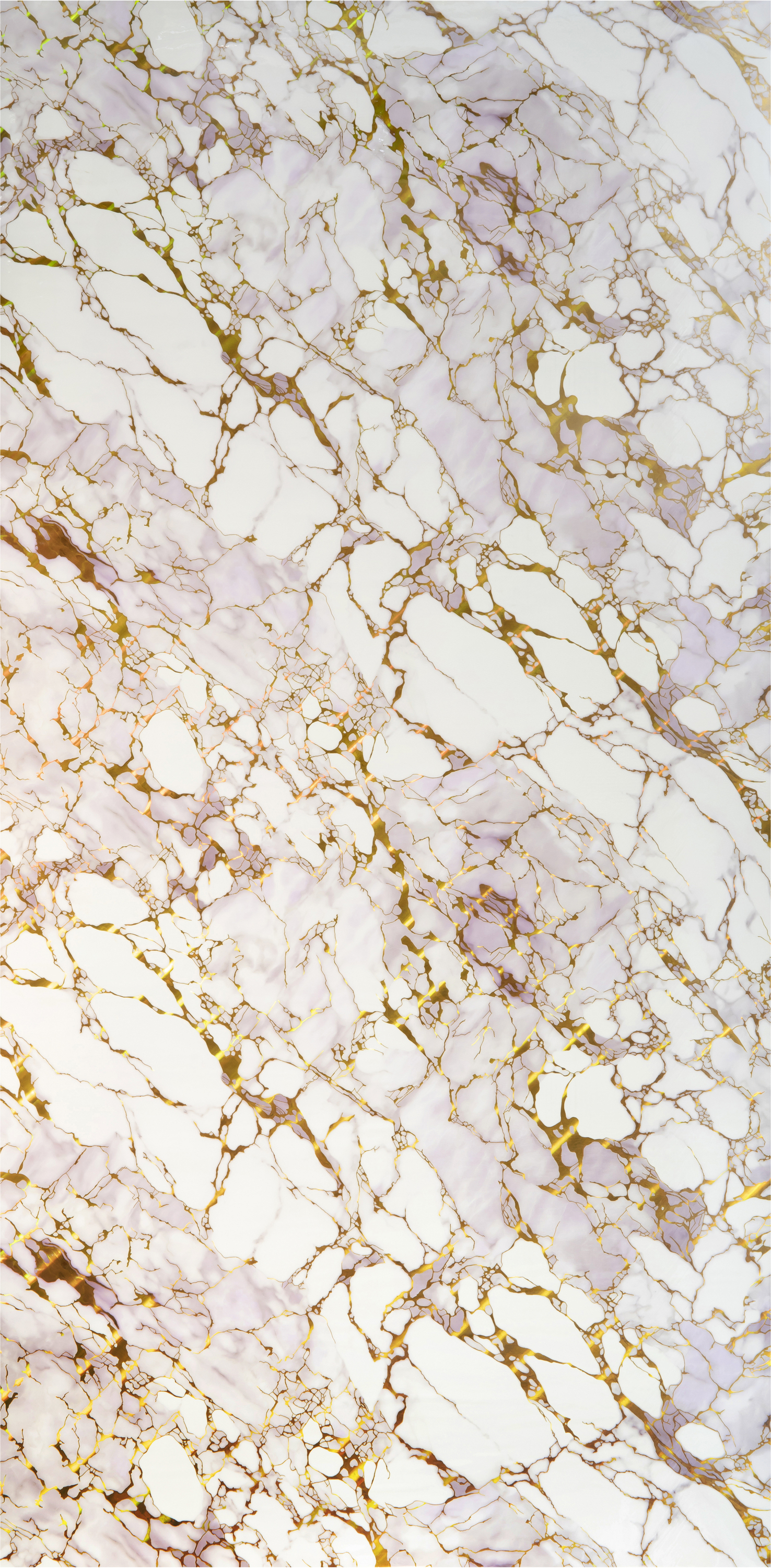 Calacatta Gold Cloud Web