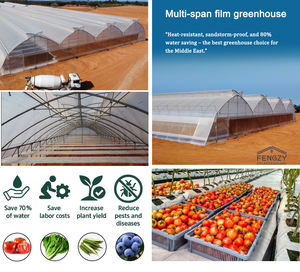 بيت محمي زراعي متكامل اقتصادي متعدد المساحات بفيلم بلاستيكي لزراعة الطماطم - Product Image 2