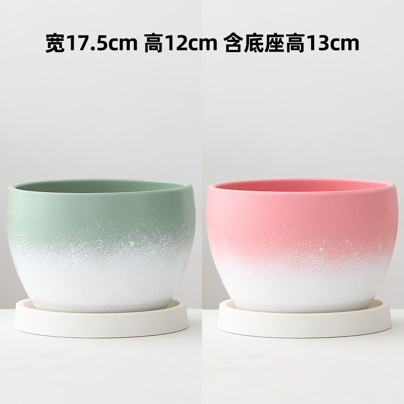 green white powder white upgraded plastic tray