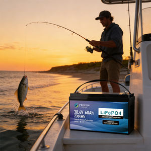 समुद्री गहरे चक्र 36 वी लिथियम आयन बैटरी पैक 36 वी 40ah 60ah 80ah 100 आह 0ah 100 जीवन-4 ट्रोलिंग मोटर बैटरी - Product Image 2