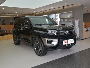 2024坦克700 Hi4-T极限版二手车 - Product Image 3