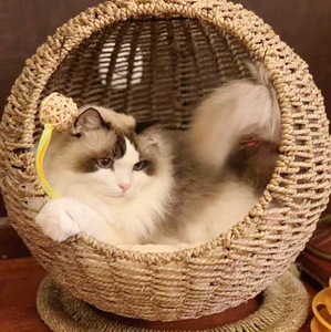 เฟอร์นิเจอร์สัตว์เลี้ยง INS สไตล์สุขภาพดีและเป็นมิตรกับสิ่งแวดล้อม เตียงนอนแมวแบบแขวน ป้องกันฝุ่น ทำจากหวายเทียม เก้าอี้สวิงแมว - Product Image 3