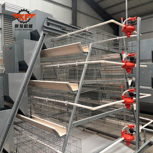 Avrupa fabrika bir tür döşeme tavuklar pil tavuk kafesi tavuk evi afrika - Product Image 6