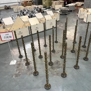 Nouveau arbre à cames en acier forgé de bonne qualité de la marque TAI pour le remplacement des pièces du moteur J08E pour HINO - Product Image 3