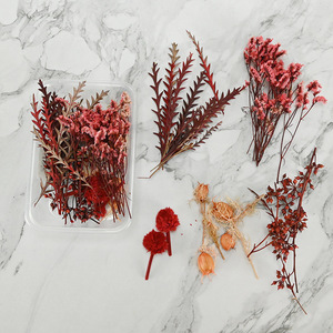 Flor seca DIY Materiales florales Flor eterna Artesanía Decoración para fiesta de boda <span class=keywords><strong>Curso</strong></span> de arte floral Paquete de material artificial - Product Image 5