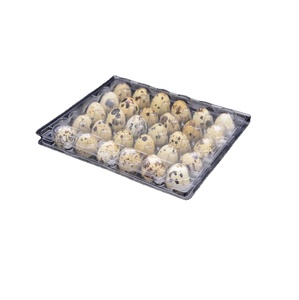Chinese factory supply plastic quail egg cartons, disposable egg crates with 30 cells