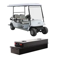 ゴルフ用カスタマイズ24v 100ah lifepo4バッテリーゴルフカート